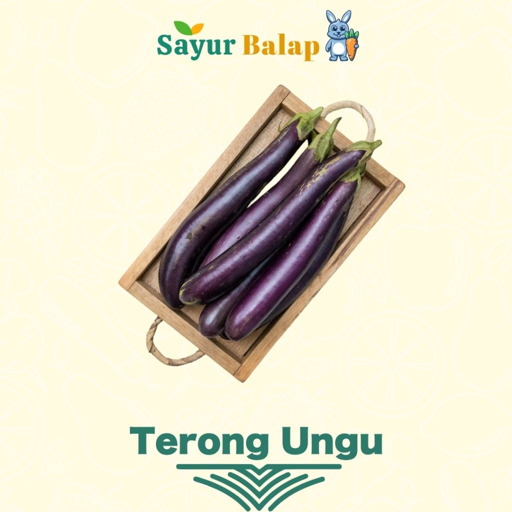 

Terong Unggu - 500 Gram - Sayur Balap Lampung