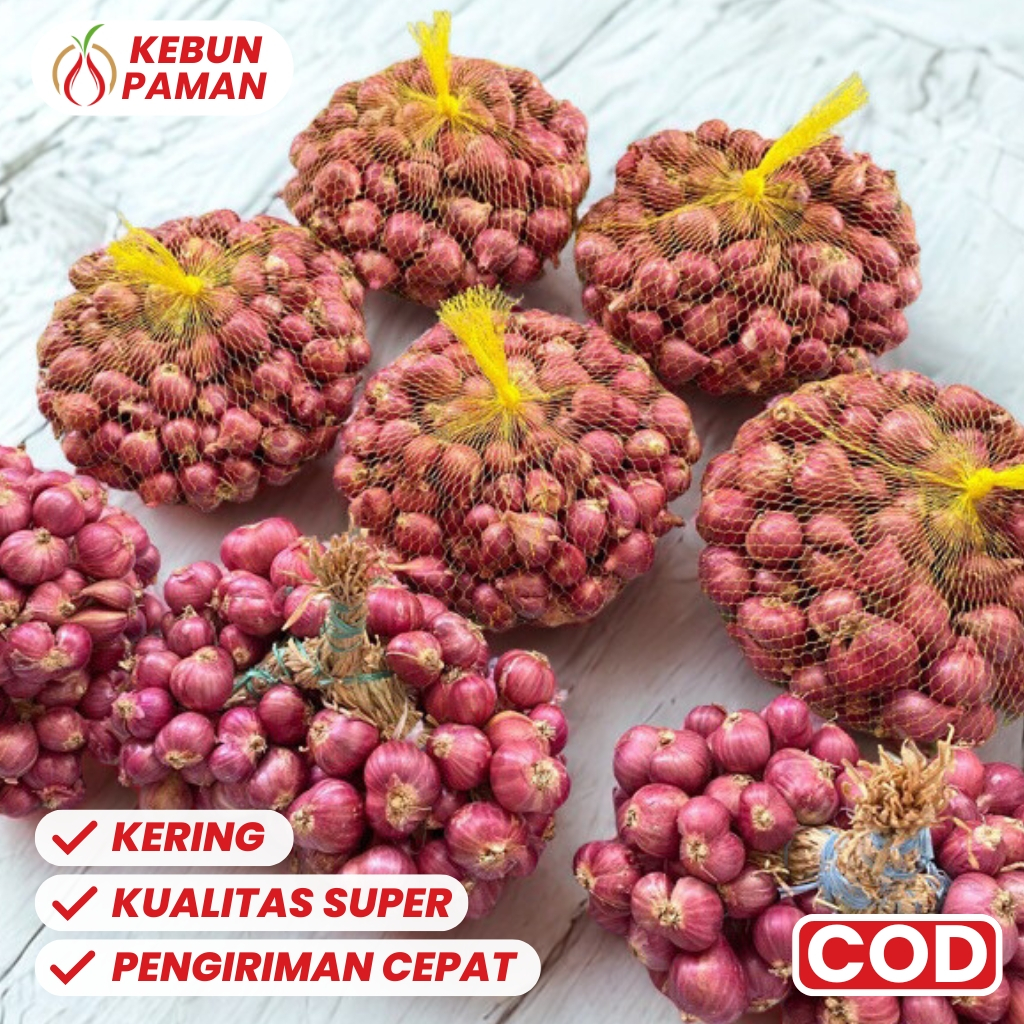 

Bawang Merah Besar Merah Merona Kering Bersih Kualitas Super 500 Gram Termurah
