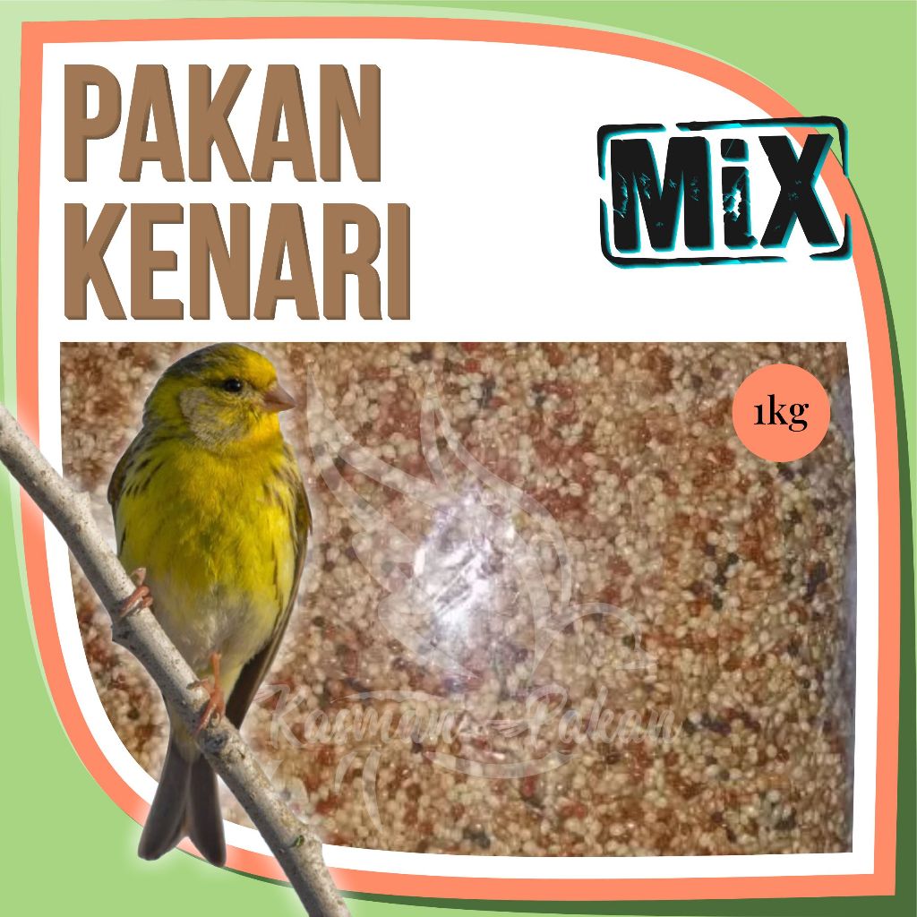 Pakan Kenari 1 Kg Campur Kiloan Premium Tinggi Jewawut Kenari Seed Kuaci Milet Kuning Merah Putih