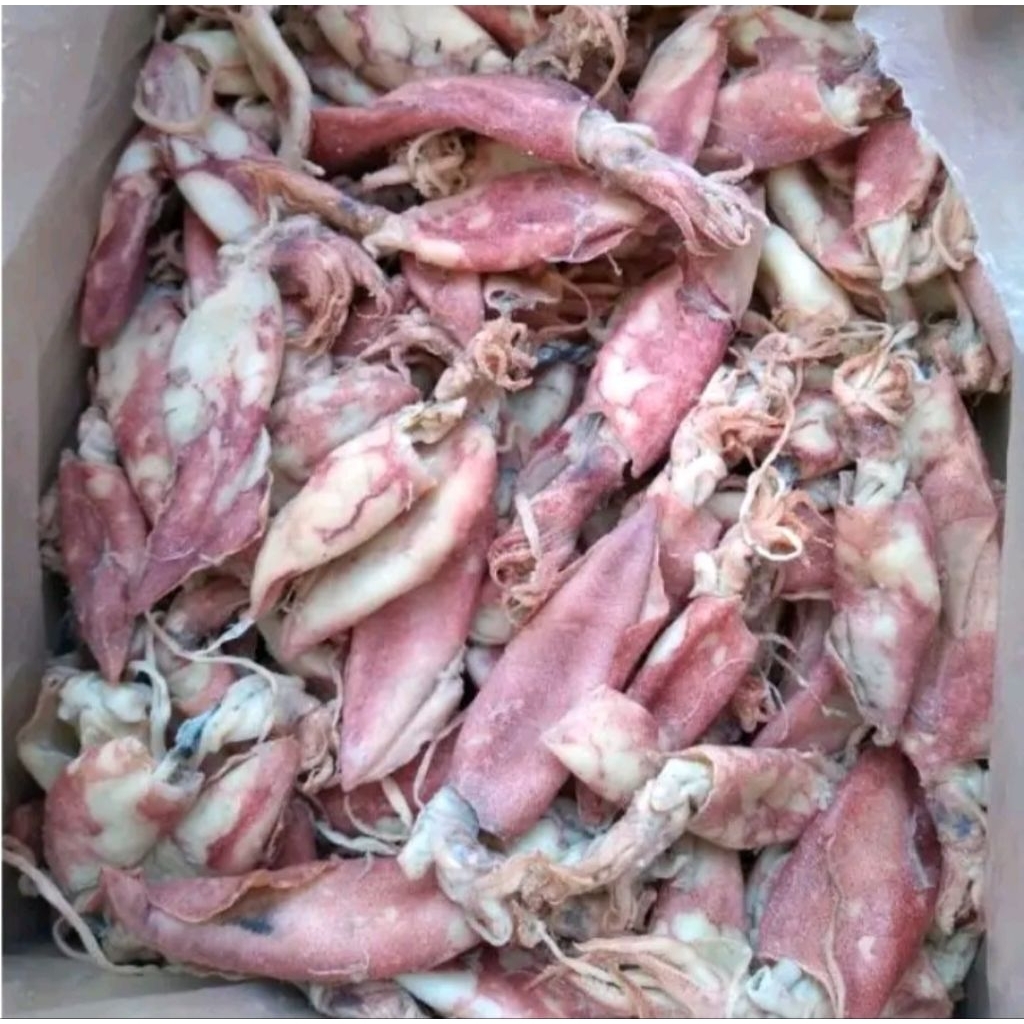 

TERMURAH Cumi Asin Kering/Ikan asin Cumi/Cumi kering Best Seller Termurah