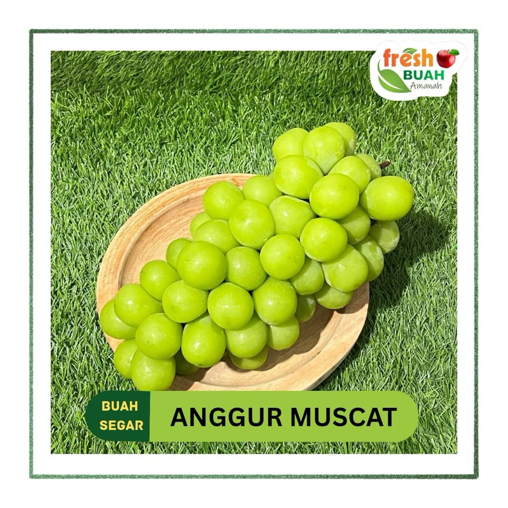 

Anggur Shine Muscat 1kg | Promo Buah | Fresh Buah Amanah