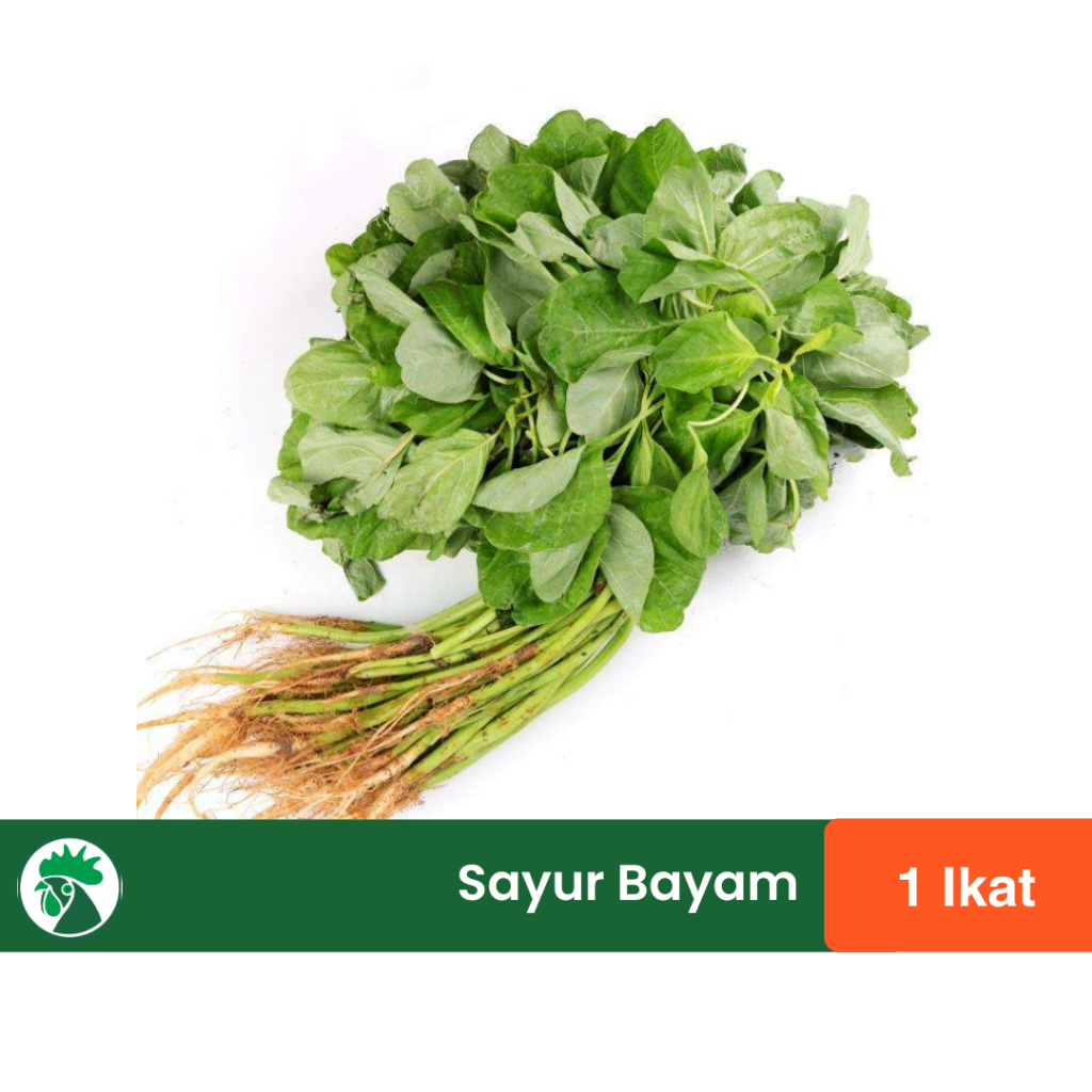 

Sayur Bayam dan Kangkung 1 Ikat | Sayuran Daun