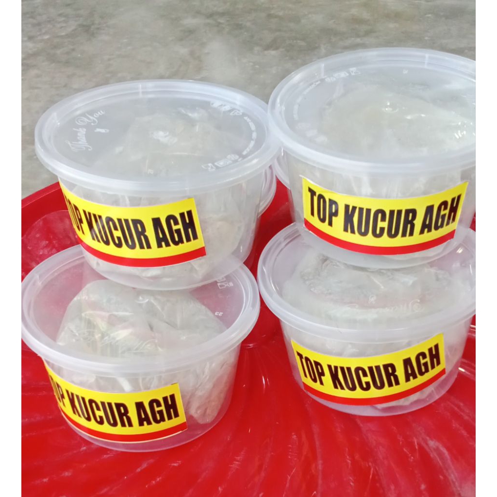 kucur AGH umpan baung