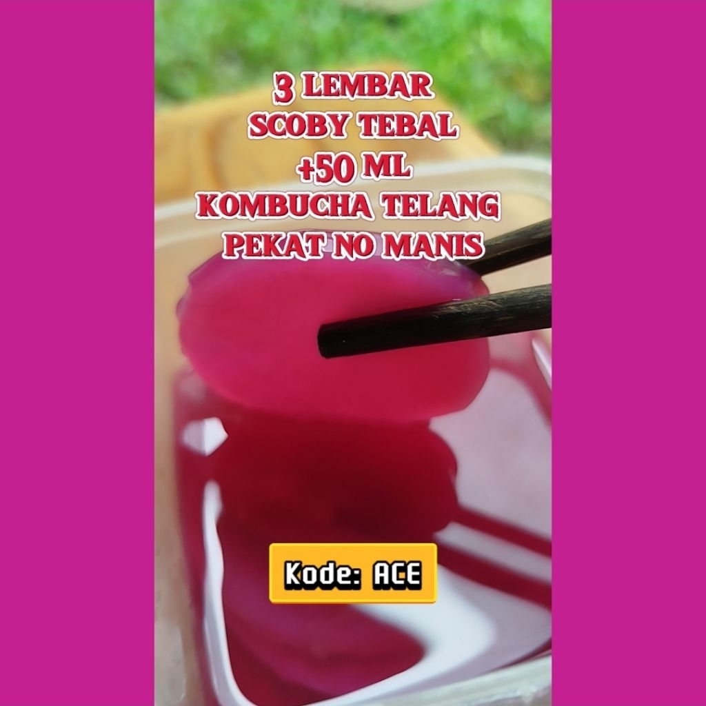 

Kode ACE: 3 Lembar Scoby + 50 Mililiter Kombucha Telang Pekat Biar Sehat
