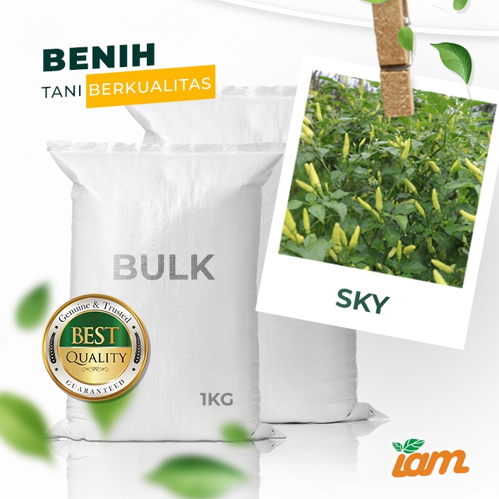 

BULK 1kg – cabai OP (SKY)