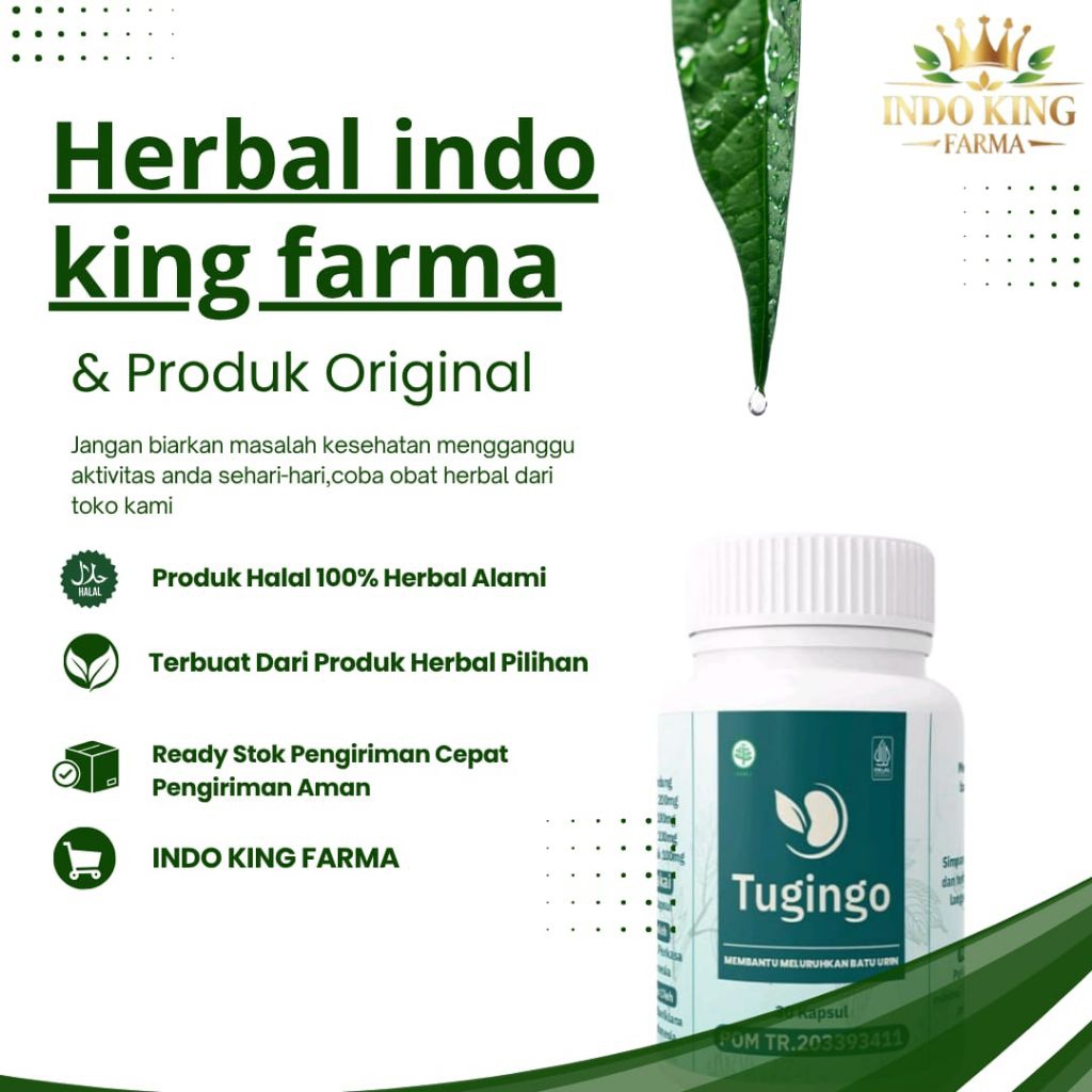 Tugingo Obat Herbal Batu Ginjal Tugingo 30 Kapsul Original BPOM