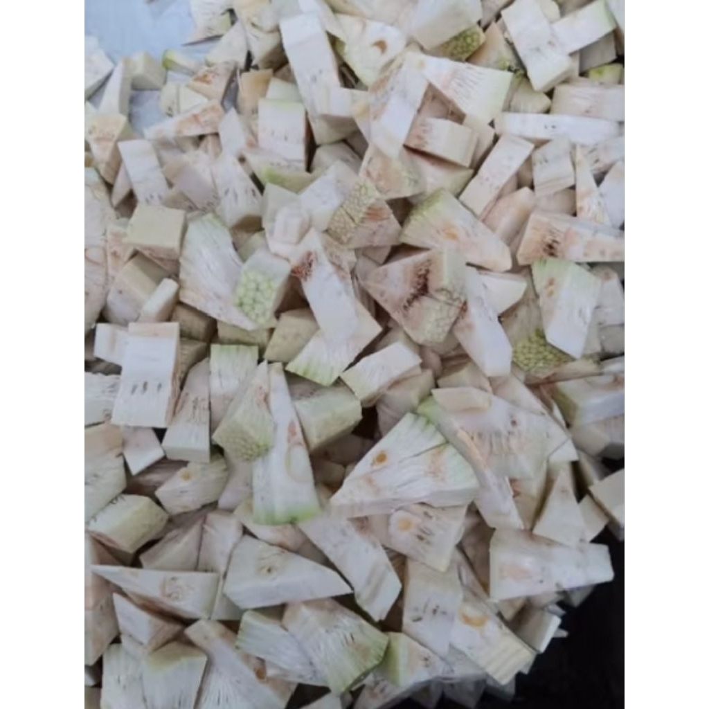 

nangka muda iris 1.kg