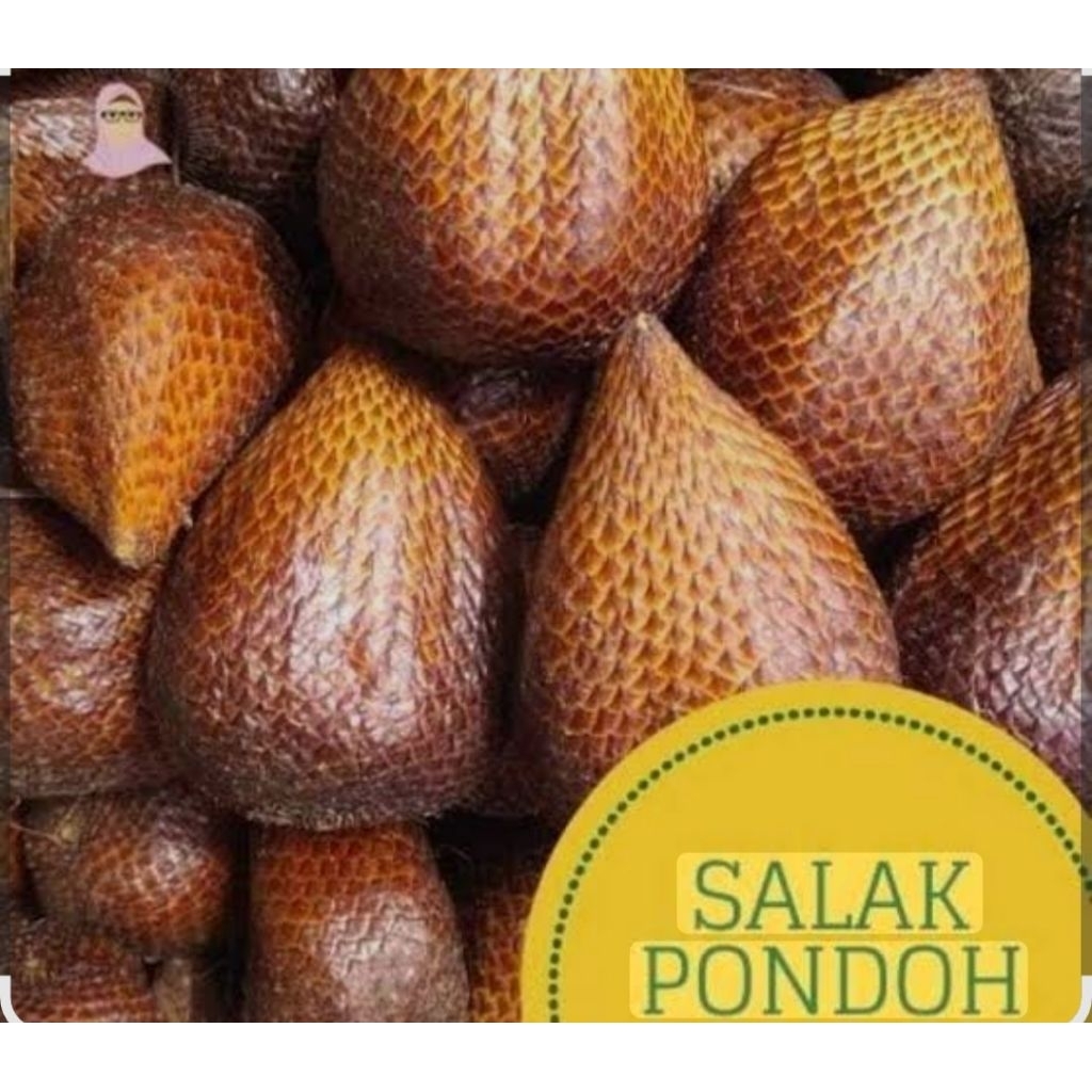 

Salak pondoh Dijamin Manis