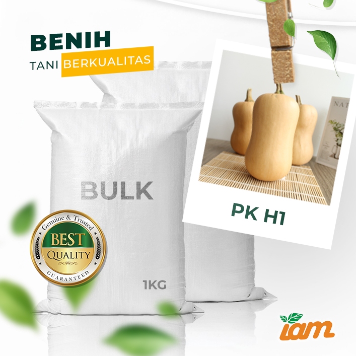 

BULK 1kg – labu madu F1 (PK H1)