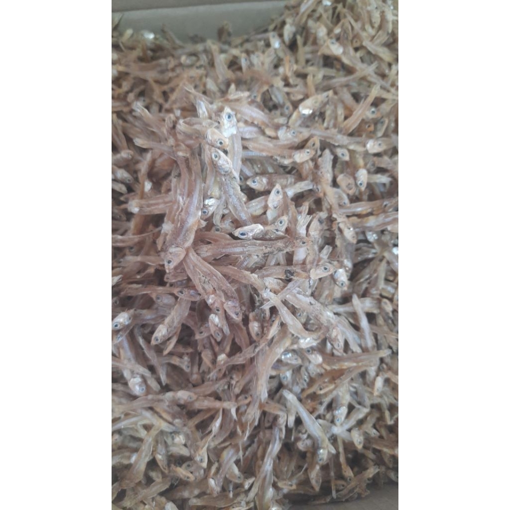 

ikan teri kecil tawar