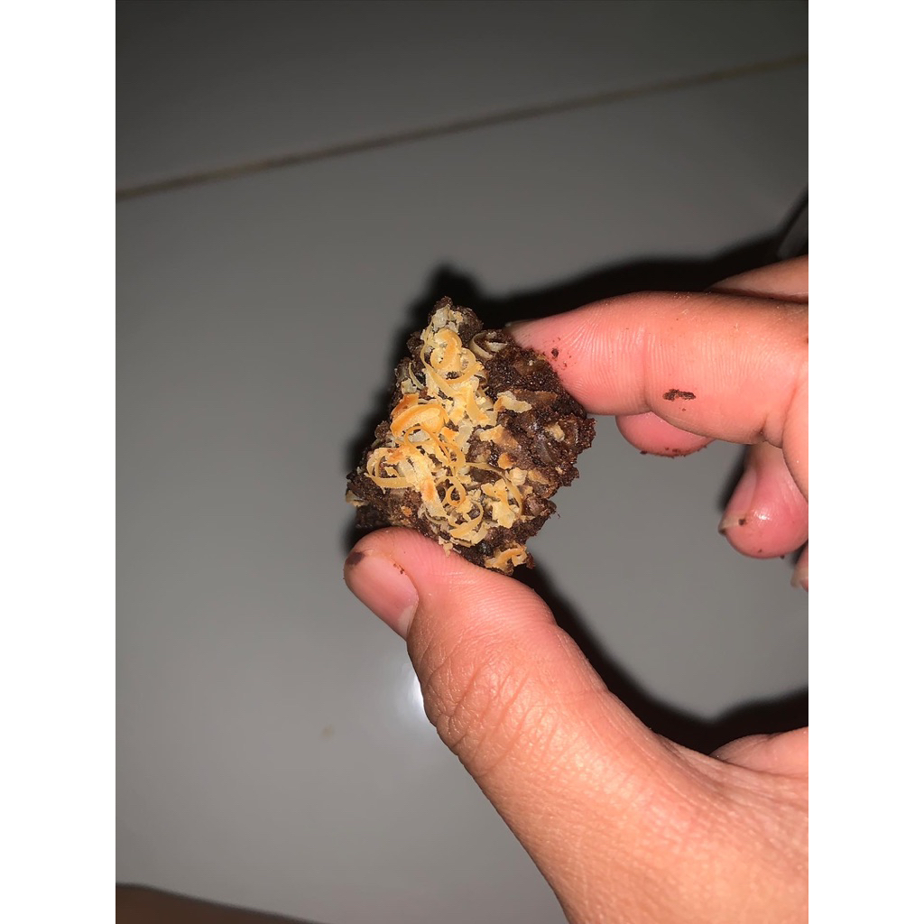 

fudgy brownies mini