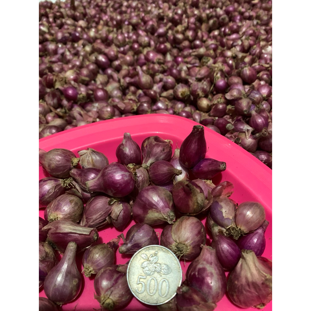 

Bawang merah Berkualitas lokal kering size Besar Campur Sedang 1000gr