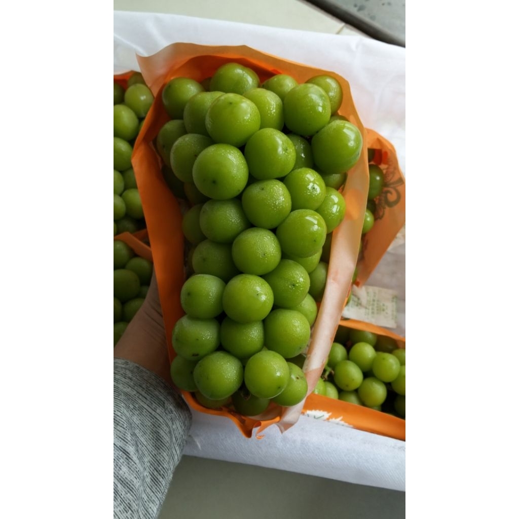 

Anggur Hijau Shine Muscat | 1 kg
