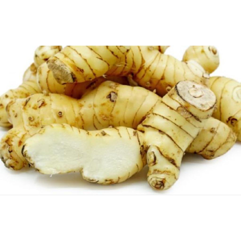 

(Hemat) Lengkuas / Laos Biasa 1kg Bumbu Masak