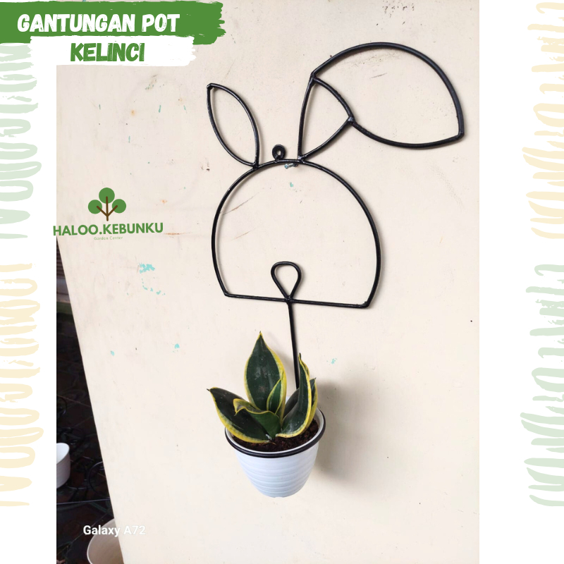 KEBUNKU Gantungan Pot Bunga Besi Unik pajangan tembok dekorasi model Keliinci