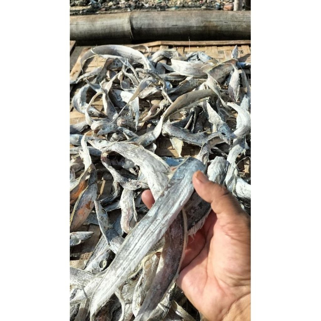 

ikan layur kemasan 5000 an