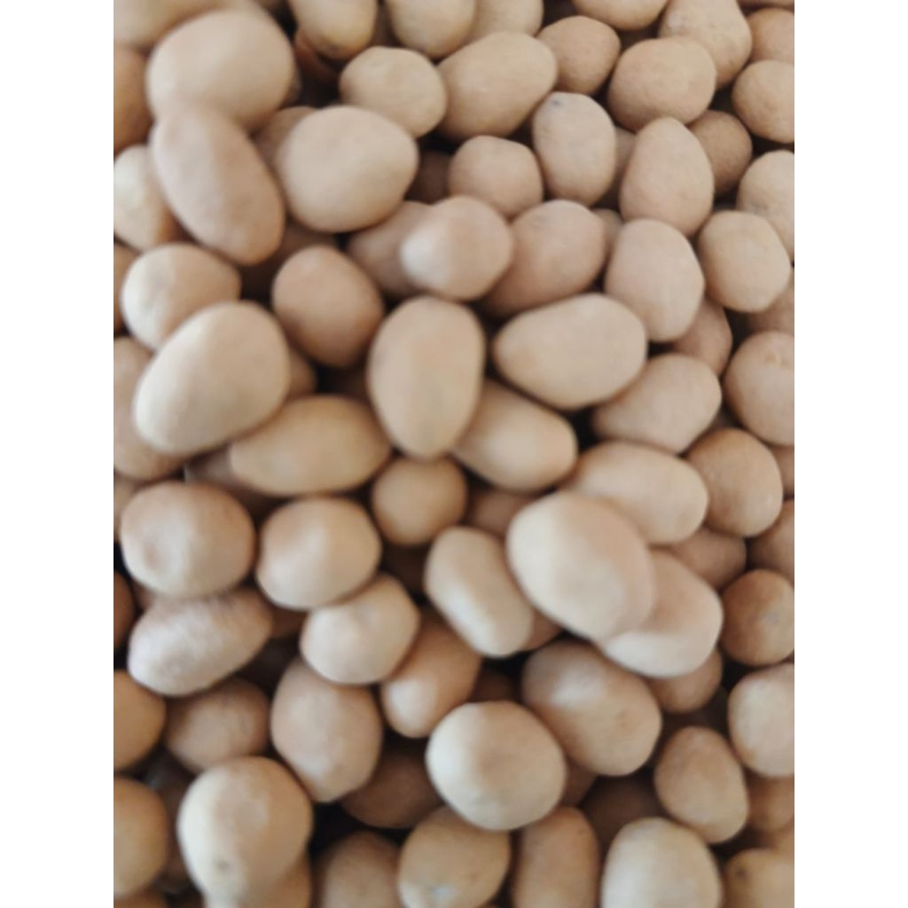 

kacang atom telur manis gurih renyah