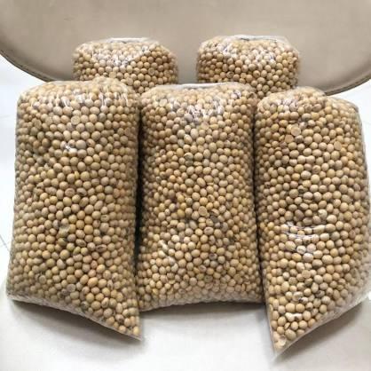 

kacang kedelai kualitas super (100% ori)Harga1KILO