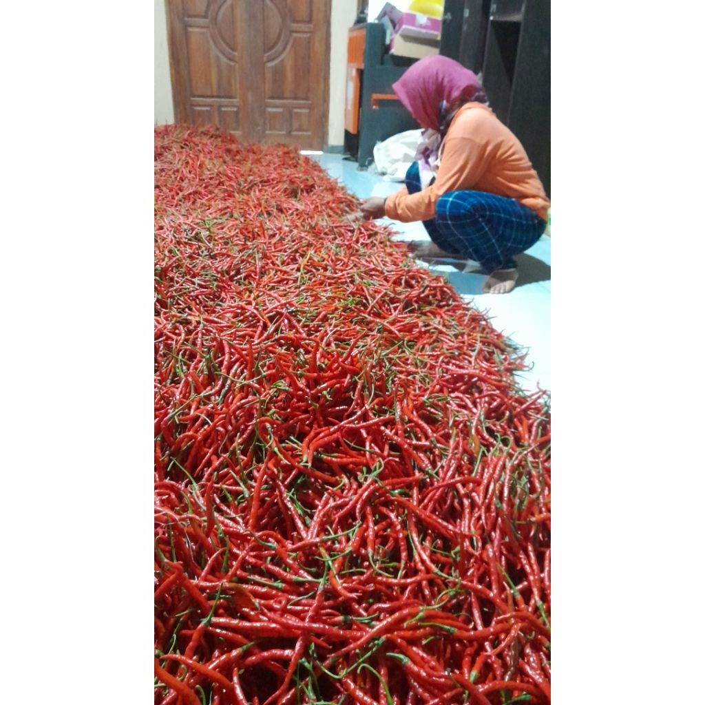 

Cabai Kriting Segar Produk Tukang SayurGo