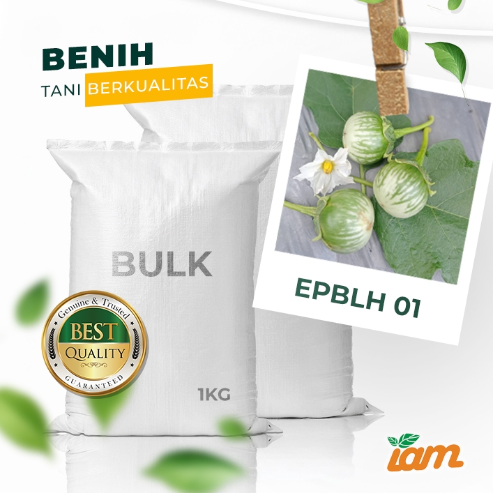 

BULK 1kg – terong lalap OP (EPBLH 01)