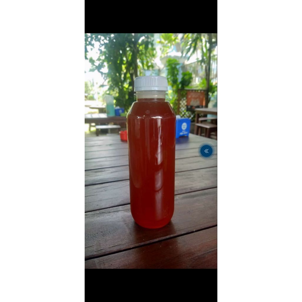 

Madu Trigona Lombok