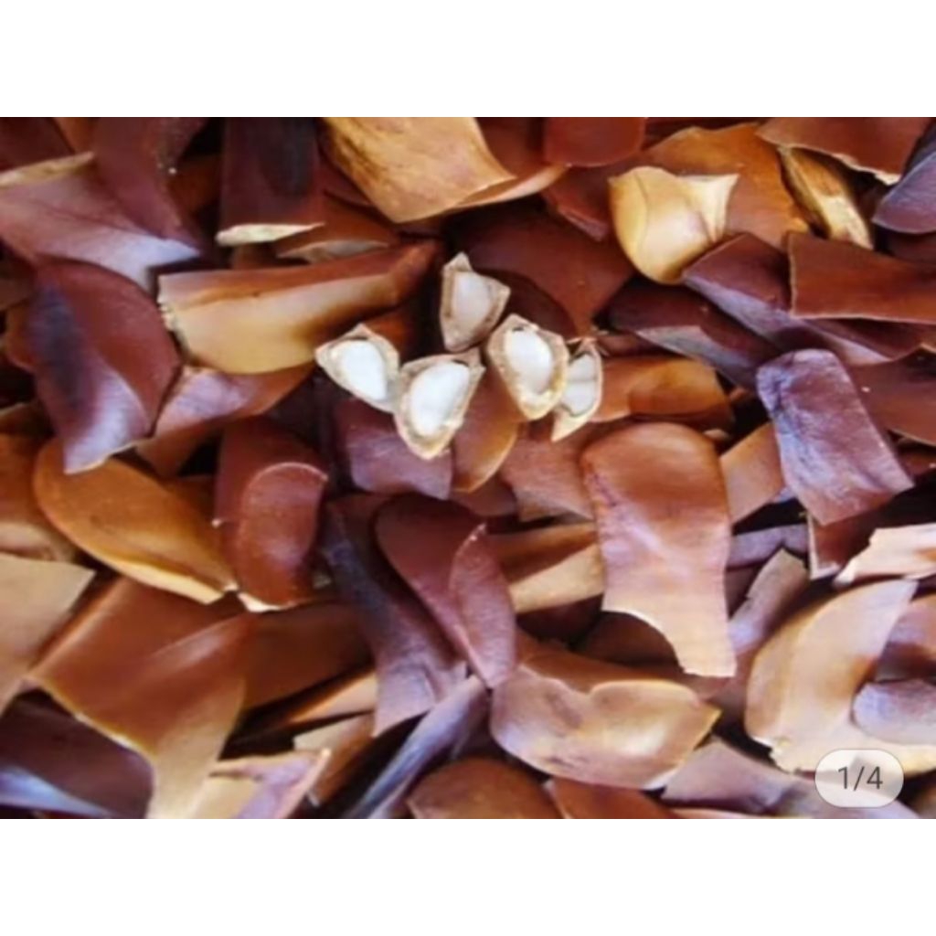 

biji/mauni berat 500gram