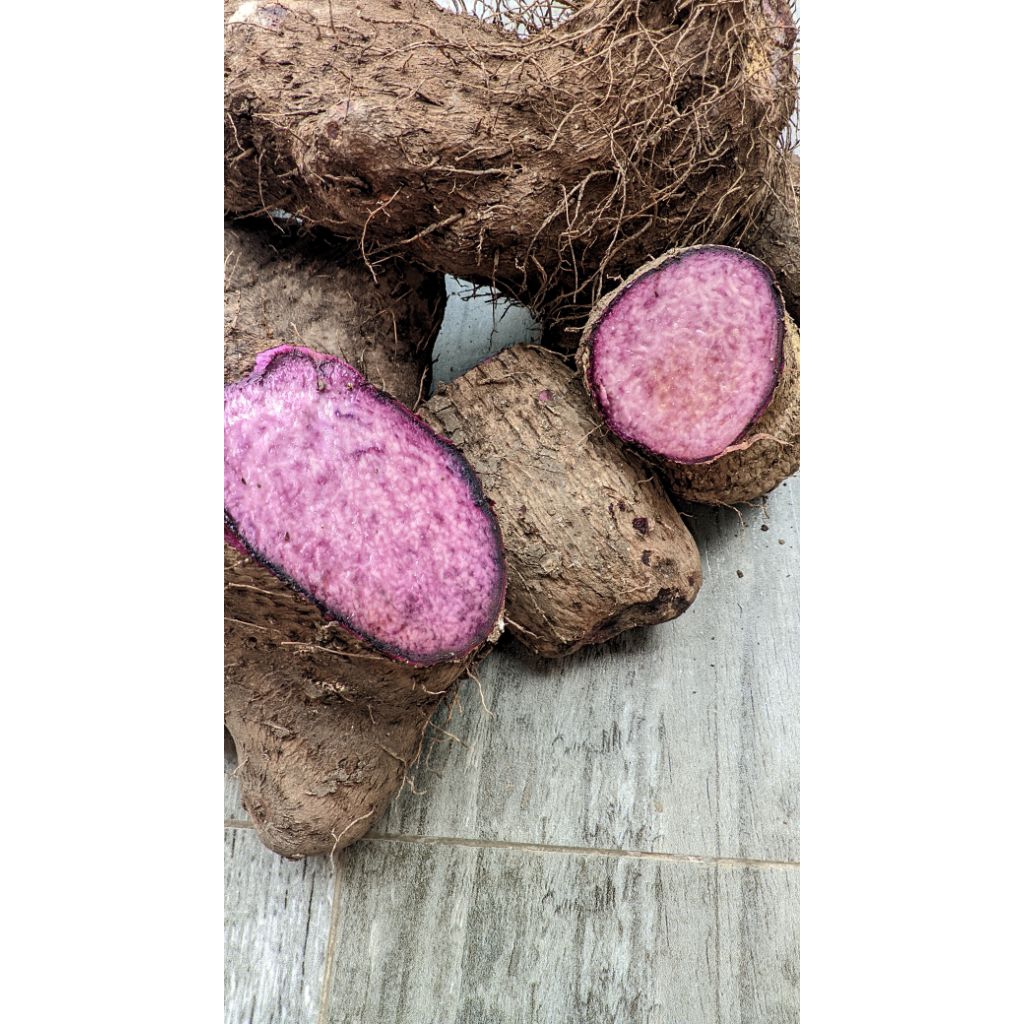 

Uwi ungu / uwi legi ungu super pulen fresh mentah 1kg