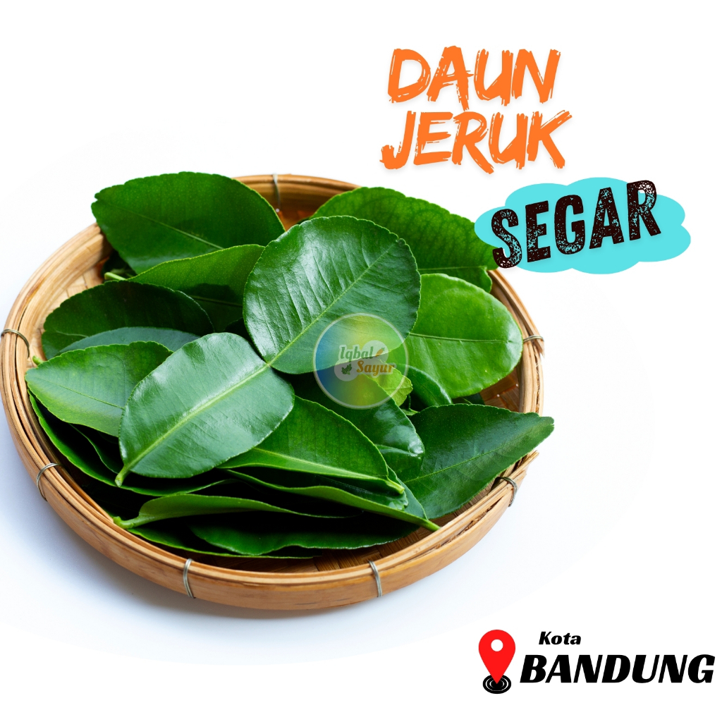 

Daun Jeruk Segar Bandung