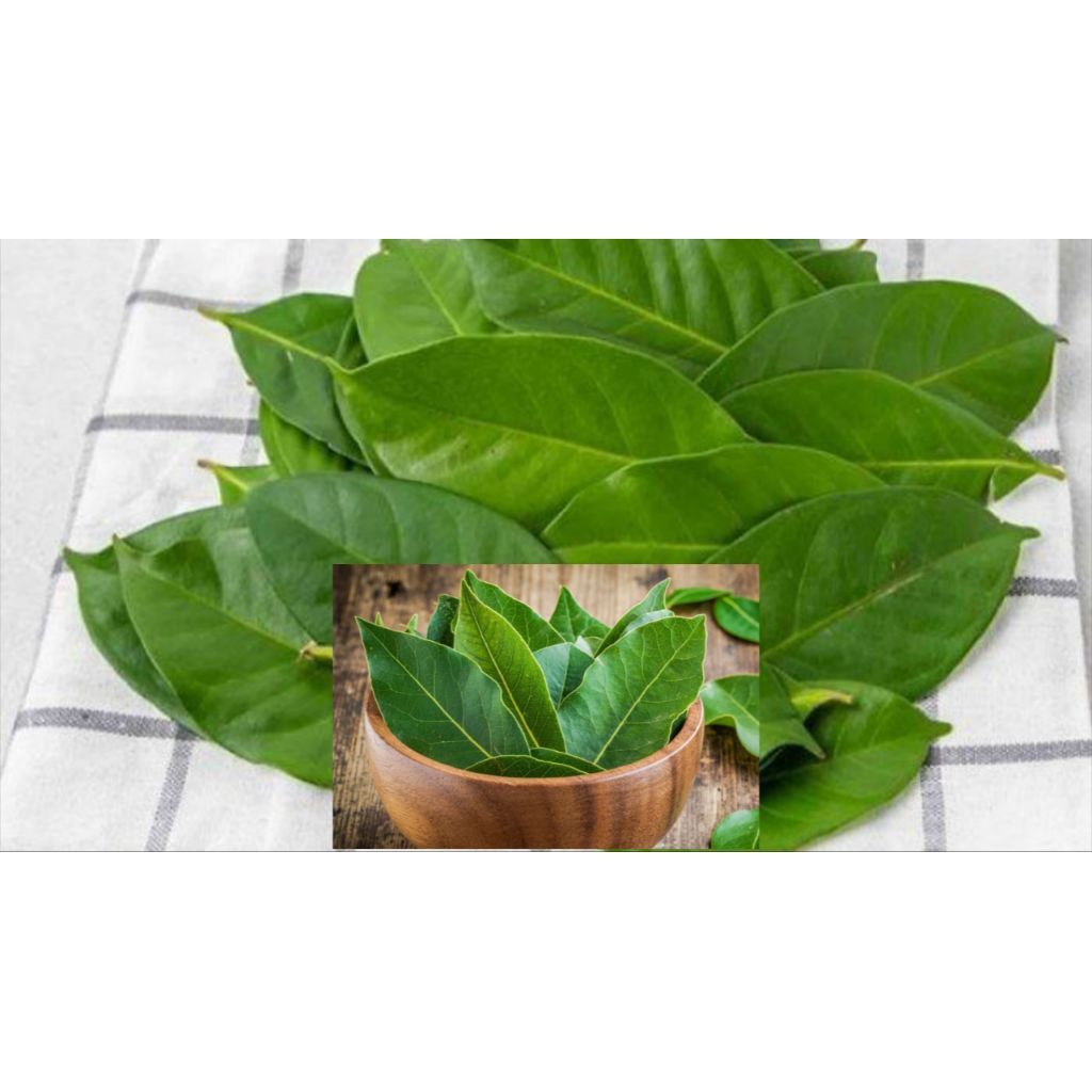 

Daun salam fresh | 1pcs isi 100 lembar