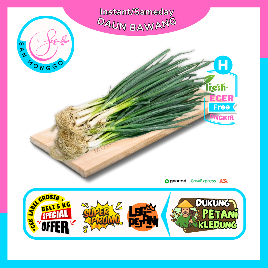 

Sanmonggoo >> Daun Bawang / Loncang / Onclang -- Hasil Bumi Sindoro Sumbing Ecer (H)