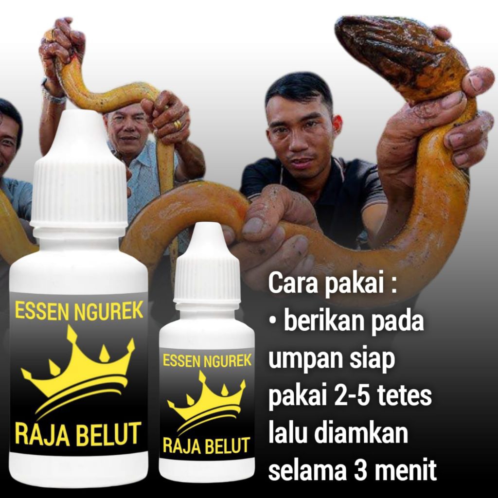 Racikan umpan ngurek mancing belut babon