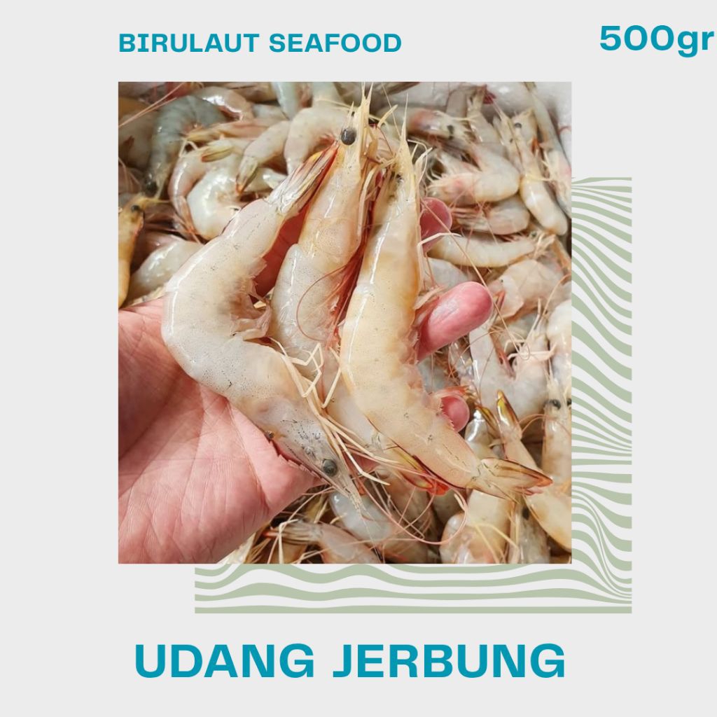 

UDANG JERBUNG SEGAR 500gr