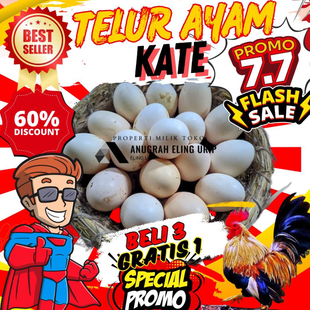 

TELUR AYAM KATE UNTUK JAMU