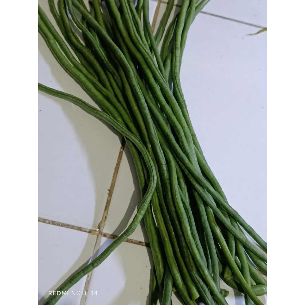 

kacang panjang 100 gr - instan surabaya