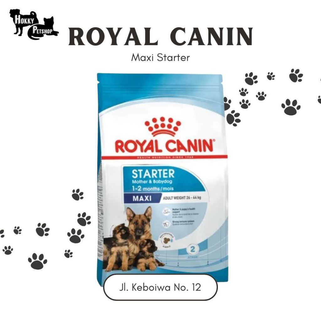 Royal Canin Maxi Starter 4 kg / Makanan Anjing Royal Canin Maxi Starter / Makanan Anjing Bagus