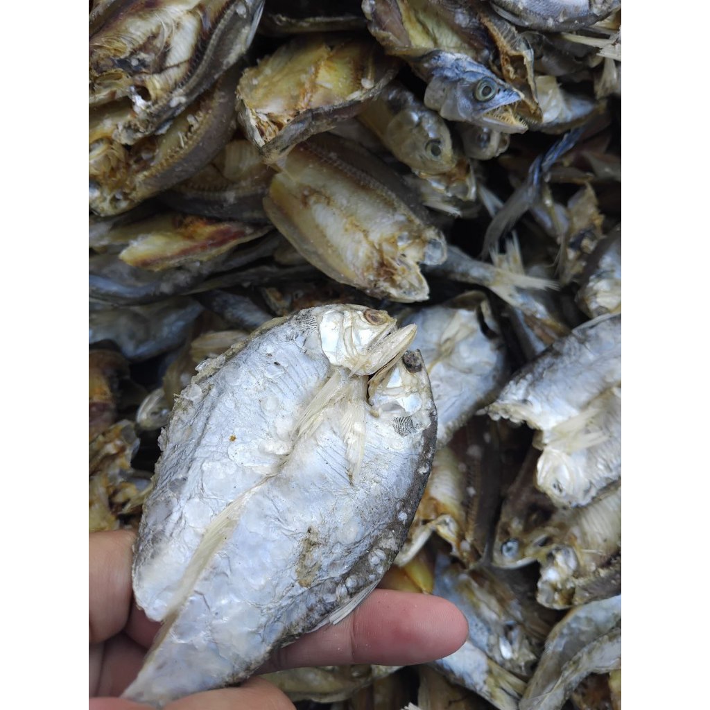 

Ikan Asin Bulu Ayam Super 500 gram Cuma 30 rb aja