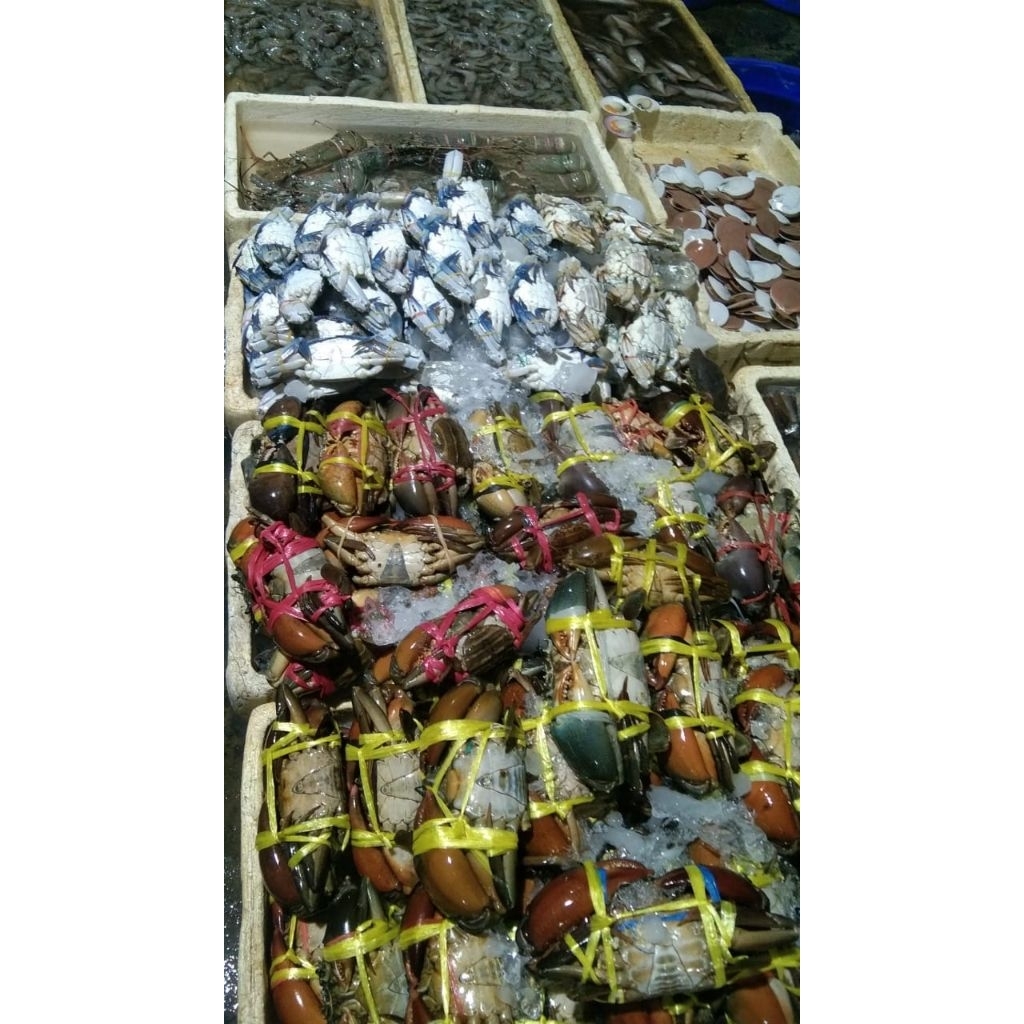 

Kepiting bakau