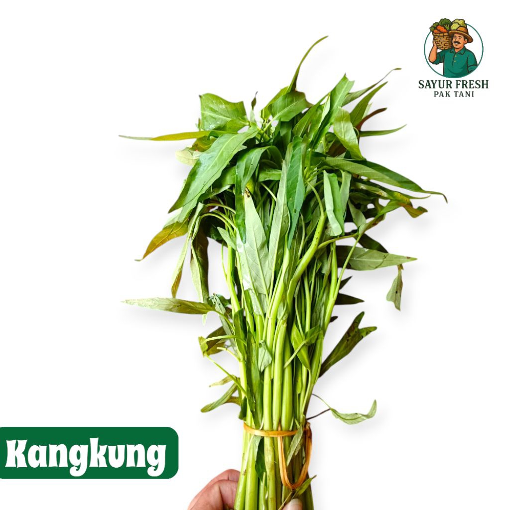 

kangkung segar