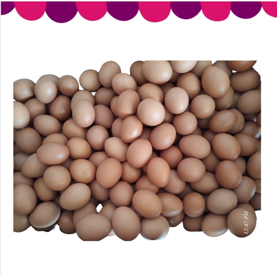 

Telur Ayam Negeri 1 kg (Hanya Pengiriman Instant)