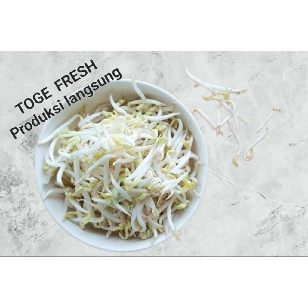 

toge / kecambah 250 gram / produksi dadakan
