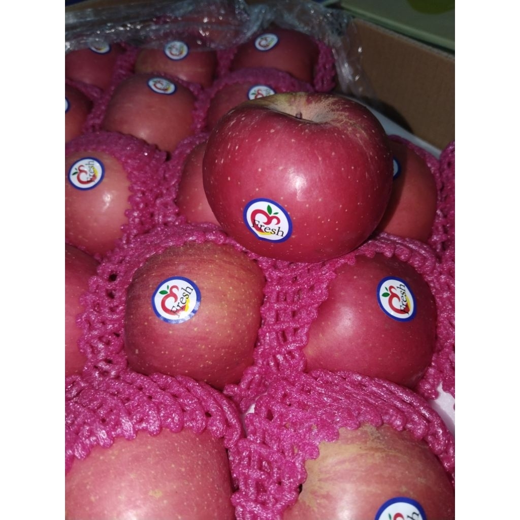 

apel fuji apel merah buah import buah vitamin aneka buah segar