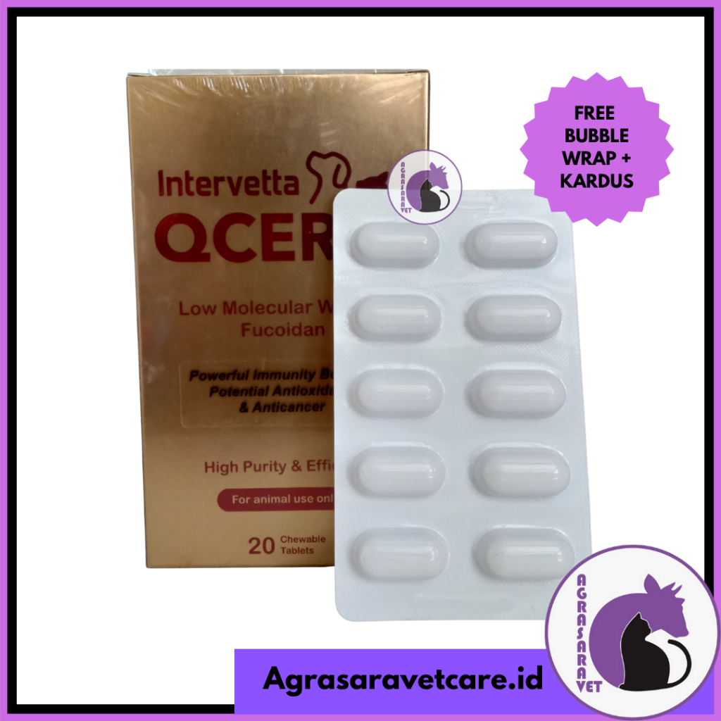 Qcer Intervetta (HARGA 1 TABLET) - Obat Kanker / Tumor Kucing Anjing