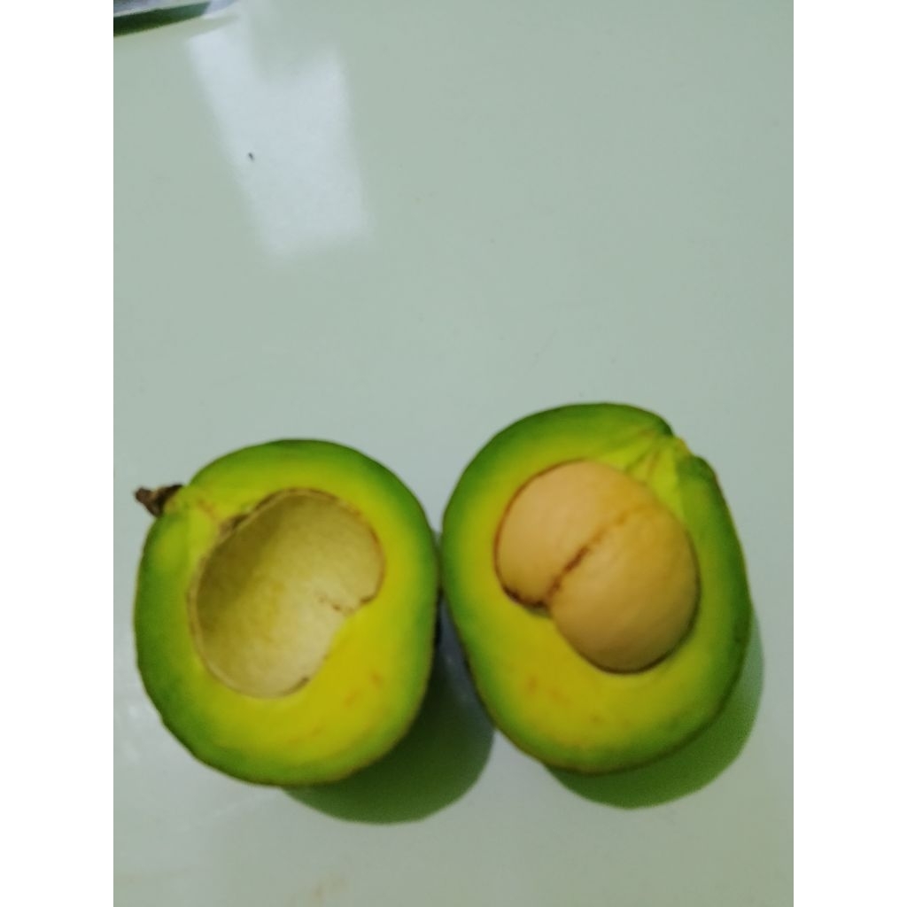 

alpukat mentega 1kg isi 5/6