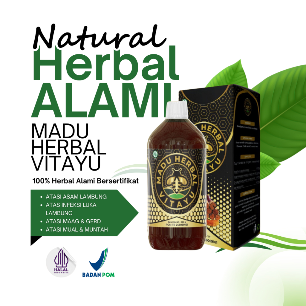 Obat Asam Lambung Kronis Maag Asam Lambung Asam Lambung Obat Herbal Maag Herbal Alami