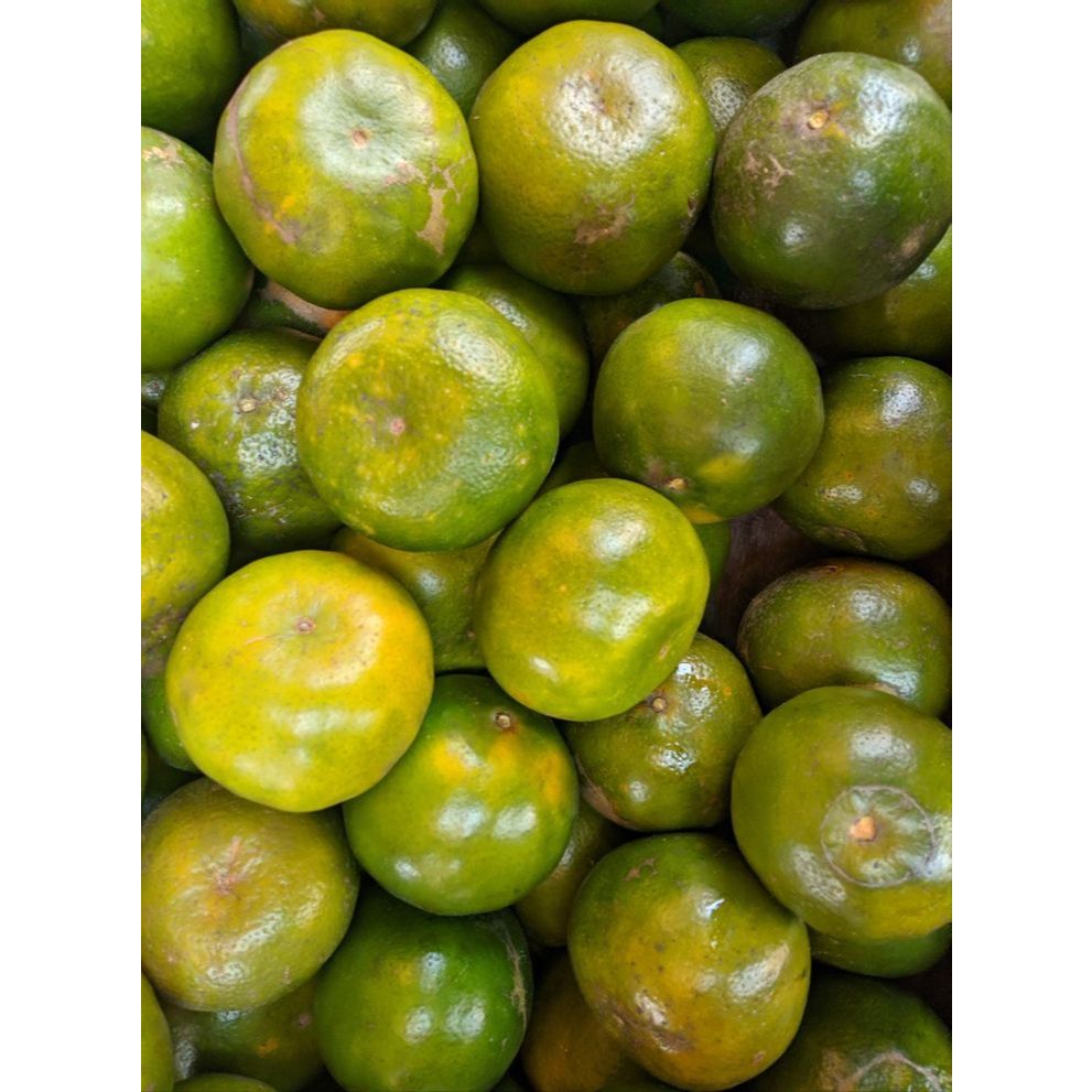 

JERUK PERAS SEGAR – ASAM SEGAR & SIAP MINUM 1 KG