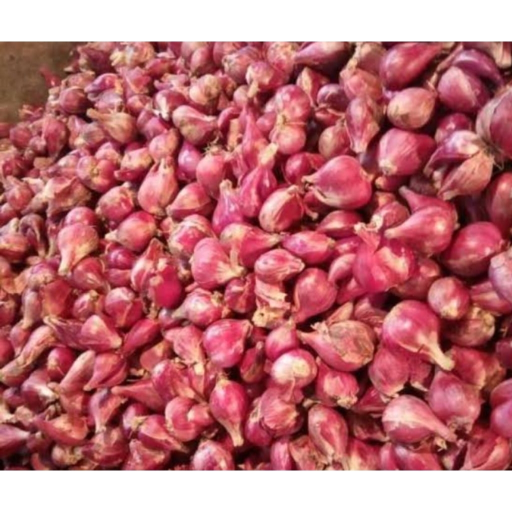 

Bawang Merah Ukuran Sedang 1KG