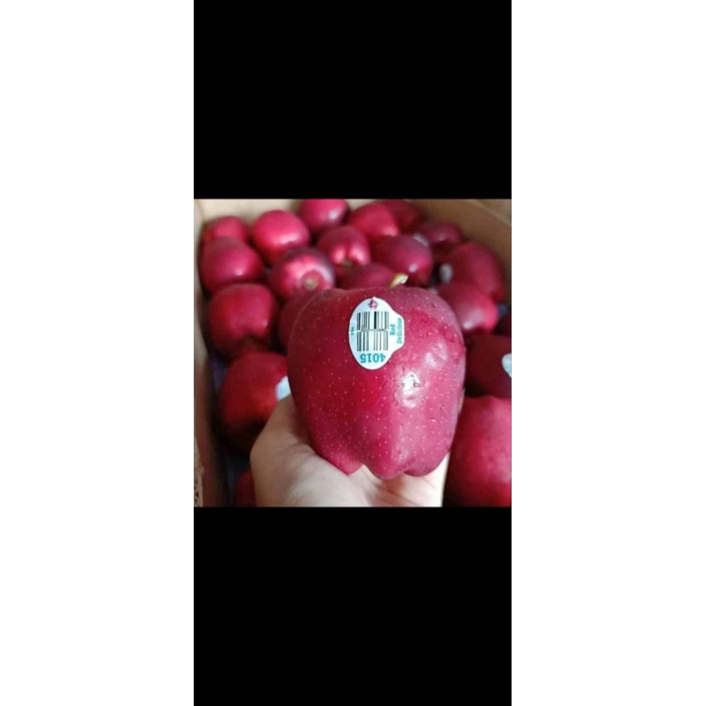 

Apel washington segar