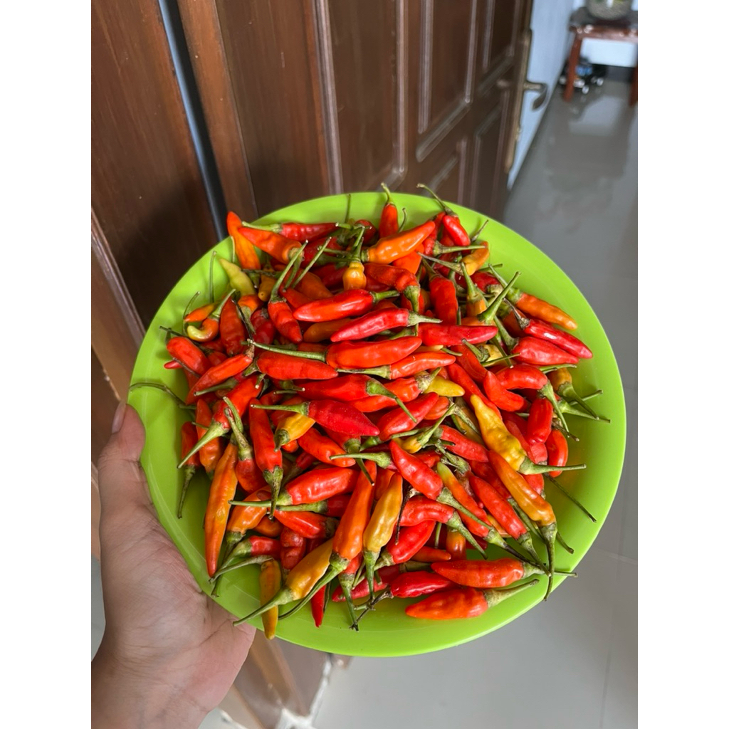 

CABAI RAWIT MERAH ORI 1KG FRESH TULUNGAGUNG (bergaransi)