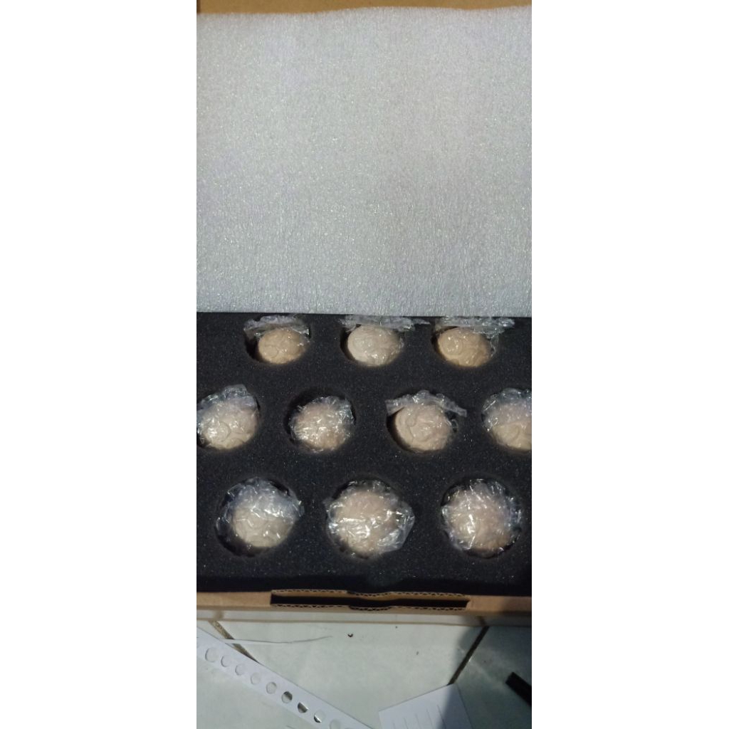 Telur Ayam Bp3 x Golden Permud