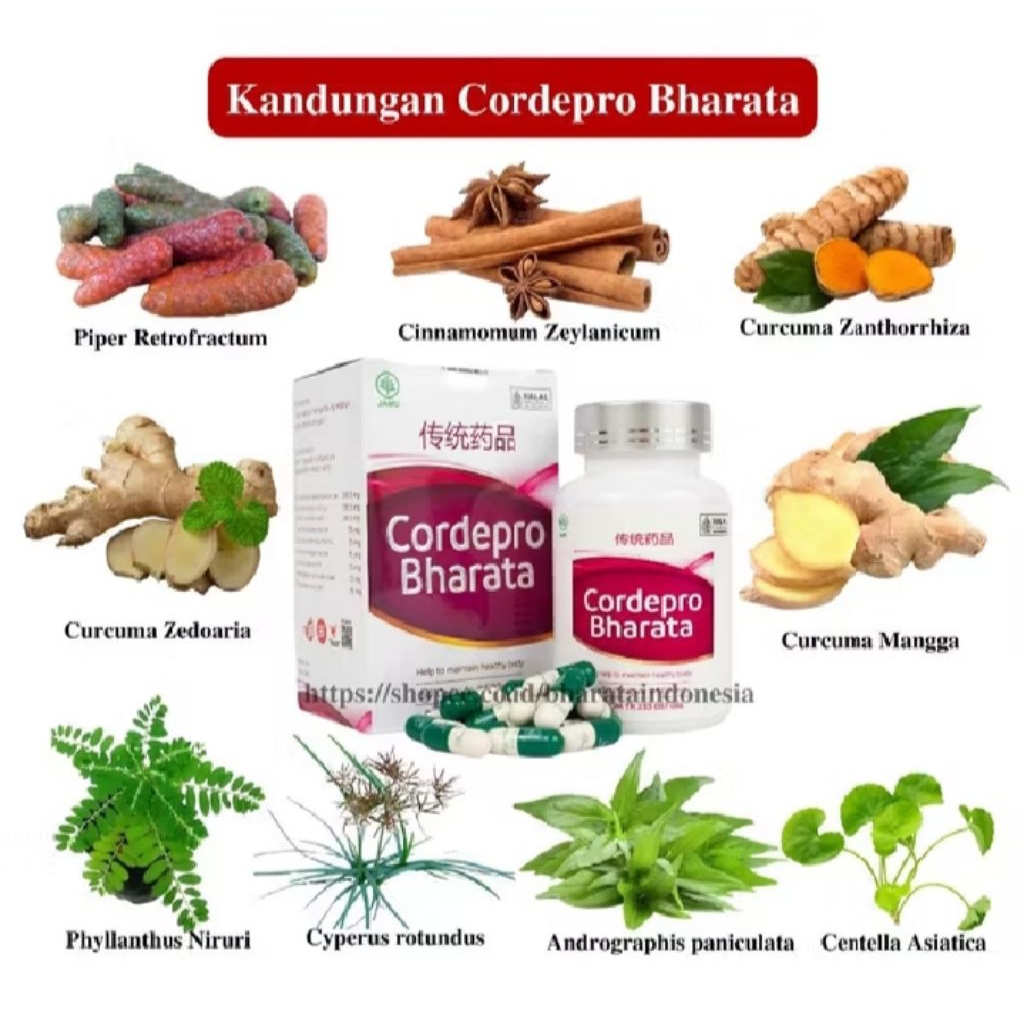 CORDEPRO BHARATA HERBAL